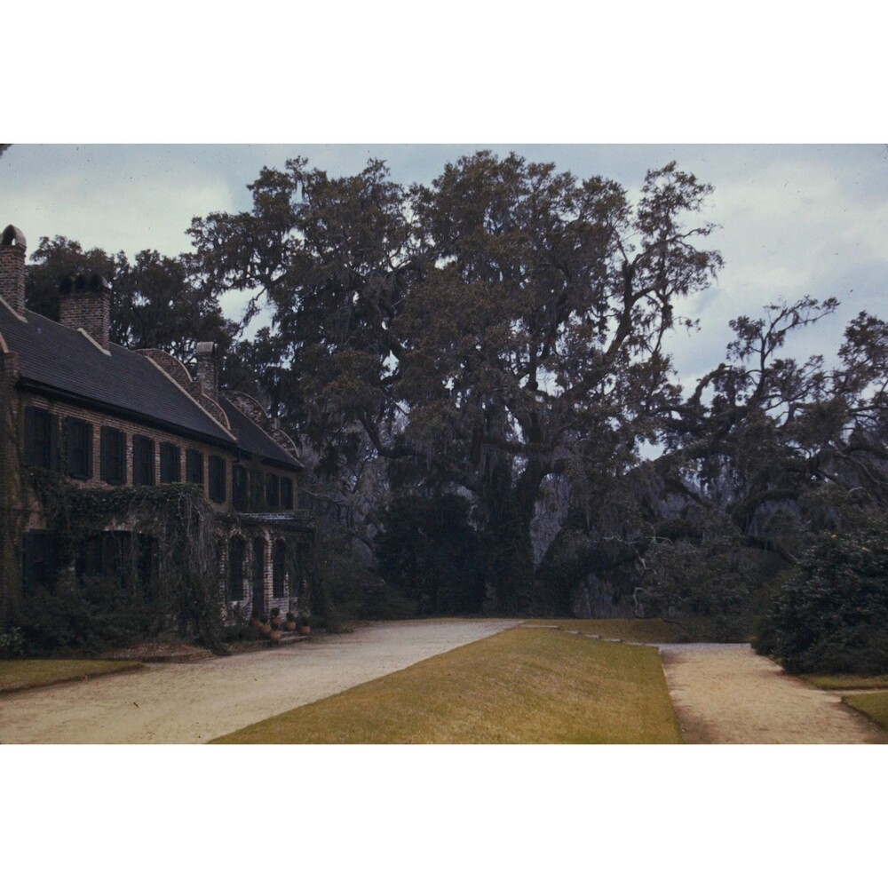 Kodak Slide 1950s Red Border Kodachrome Middleton Place, SC